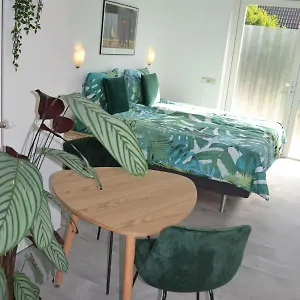  Apartment 38